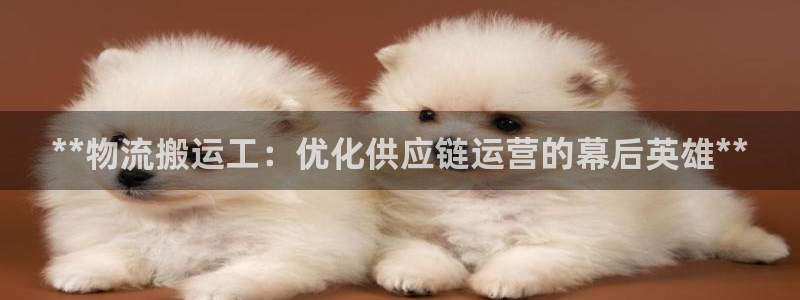 28圈pc预测：**物流搬运工：优化