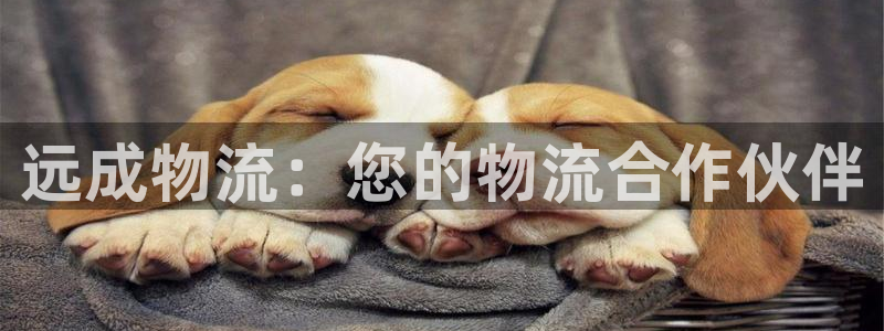 28圈官网网站