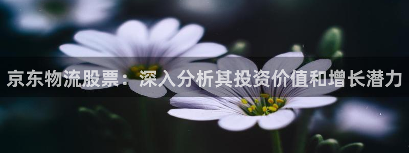 28圈加拿大怎么玩
