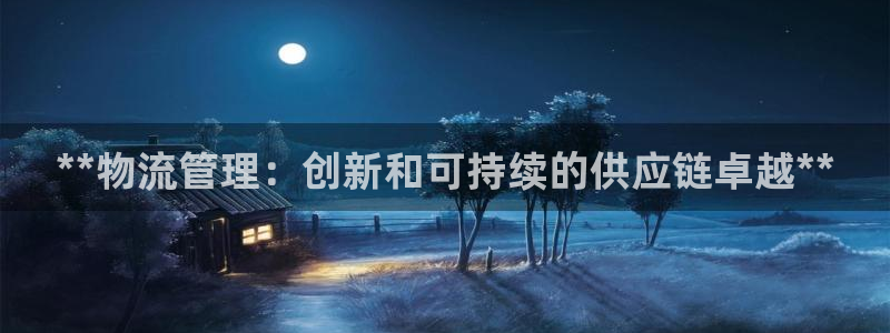 28圈平台注册：**物流管理：创新和