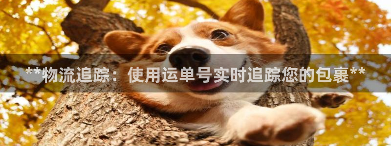 28圈平台注册:**物流追踪:使用运