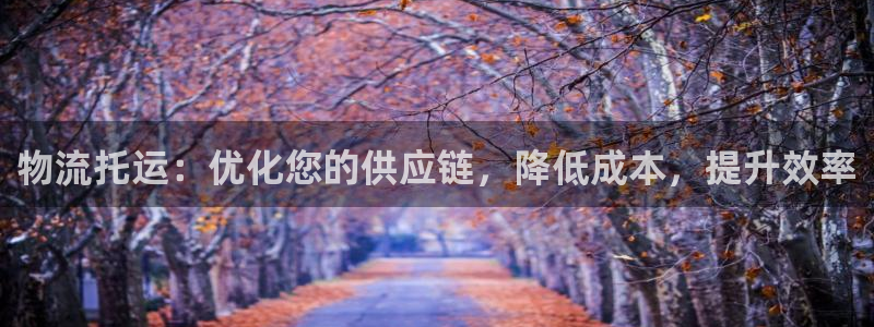28圈游戏最新版：物流托运：优化您的