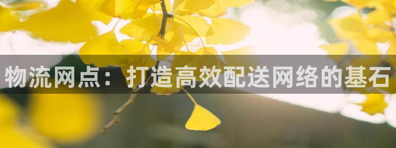 28圈预测