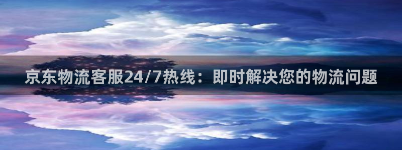 28圈注册网站多少钱：京东物流客服2