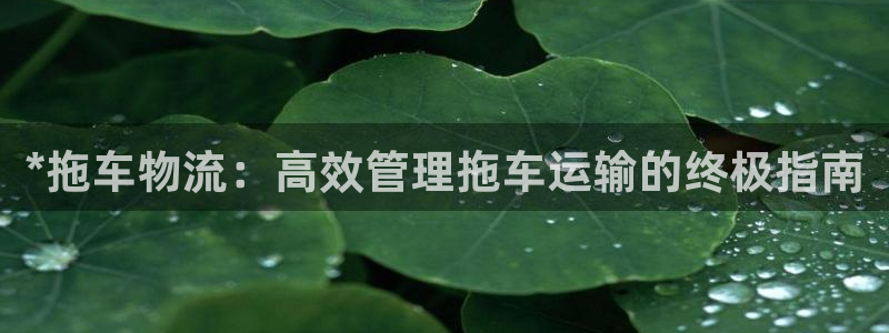 28圈游戏链接