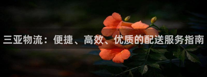 28圈.ccm2024
