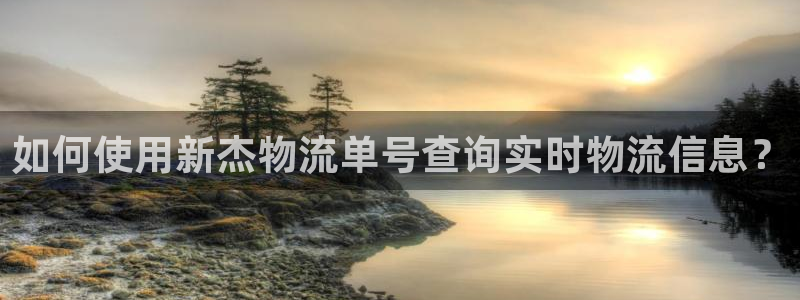 28圈女王中奖记录查询：如何使用新杰