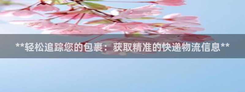 28圈在线预测官网