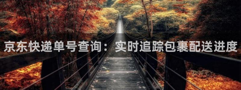 28圈下载体育：京东快递单号查询：实