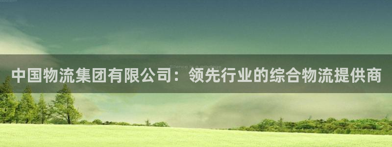 28圈黑钱：中国物流集团有限公司：领