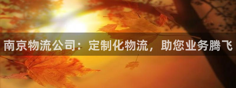28圈注册登录链接：南京物流公司：定