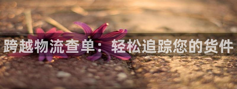 28圈登录用户名登录不上