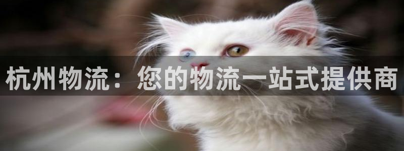 28圈注册网站谁有：杭州物流：您的物