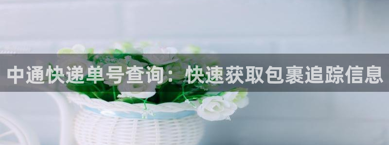 28圈下载体育：中通快递单号查询：快