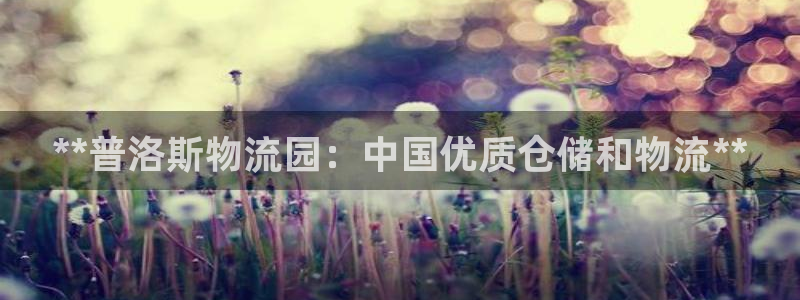 28圈注册流程：**普洛斯物流园：中
