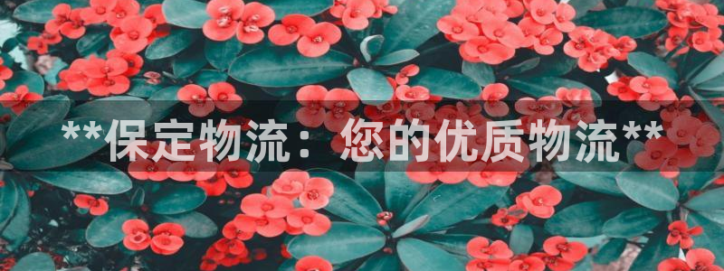 28圈p扣除：**保定物流：您的优质