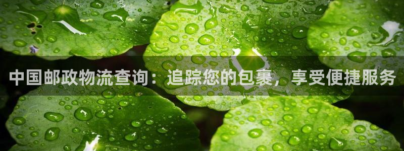 28圈在线预测官网