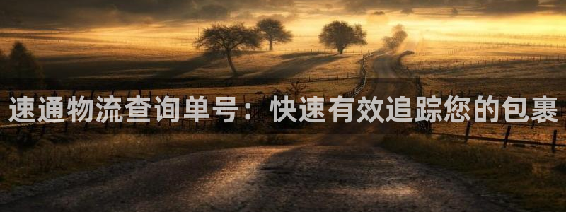 28圈官网版2024：速通物流查询单