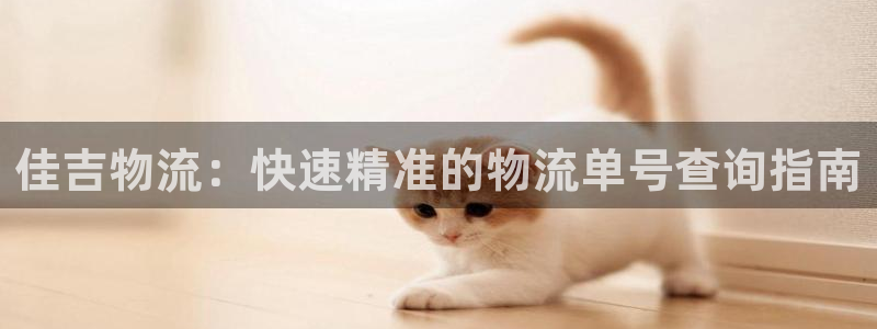 28圈.ccmpc28