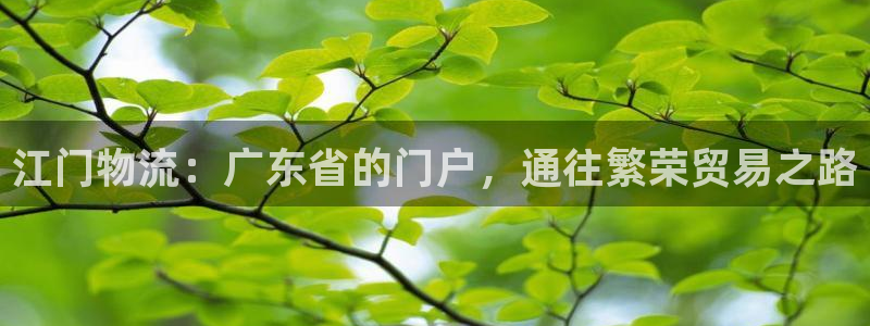 28圈注册平台：江门物流：广东省的门