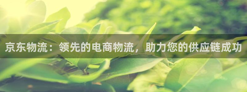 28圈.ccmpc28：京东物流：领