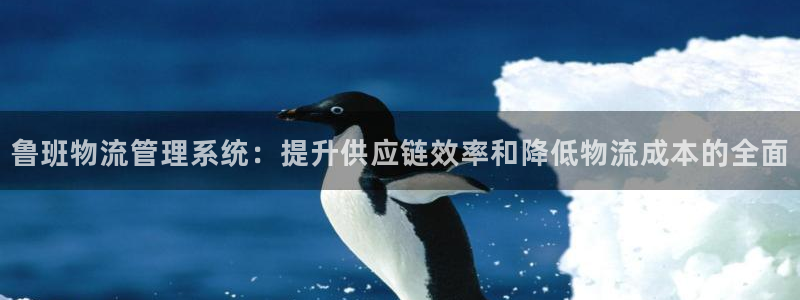 28圈加拿大预测：鲁班物流管理系统：