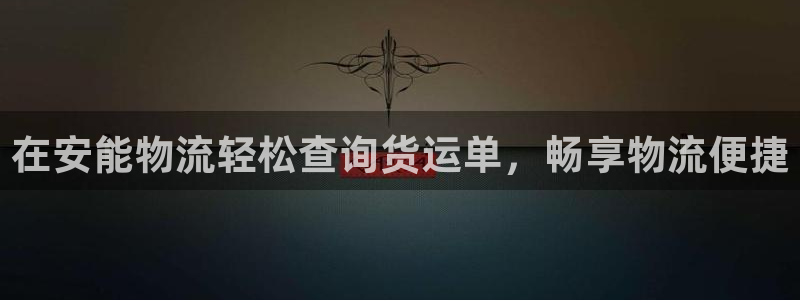 28圈南宫娱乐官网：在安能物流轻松查