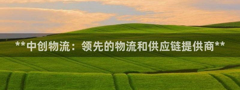 28圈软件是什么：**中创物流：领先