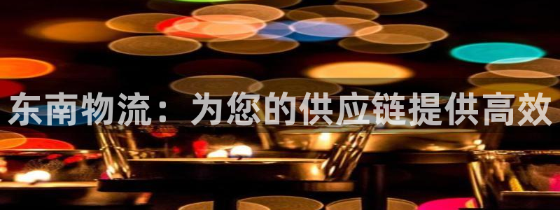 28圈充值金额随便：东南物流：为您的