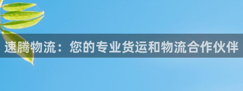 加拿大28圈注册链接：速腾物流：您的