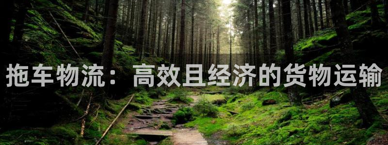 28圈初始密码在哪里修改的：拖车物流