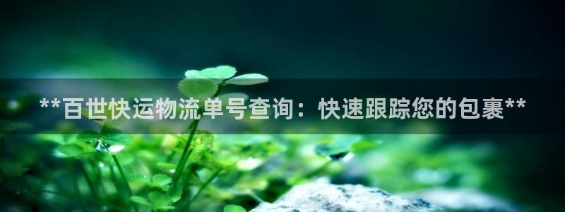 28圈预测：**百世快运物流单号查询