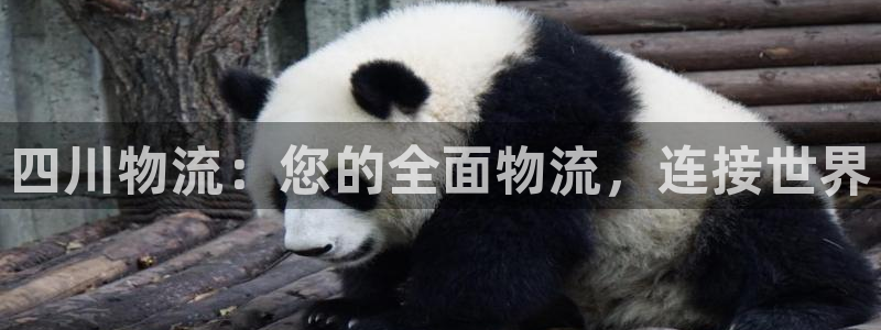 28圈不给提现：四川物流：您的全面物