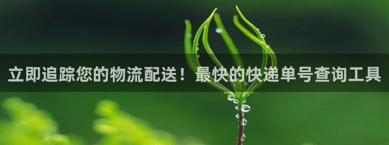 28圈充值不处理