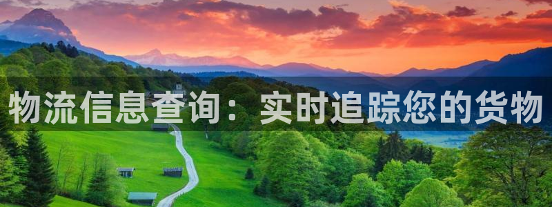 28圈官方：物流信息查询：实时追踪您