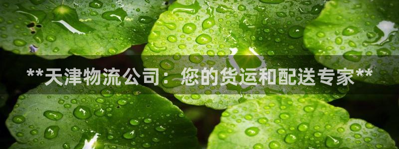 28圈网站平台：**天津物流公司：您