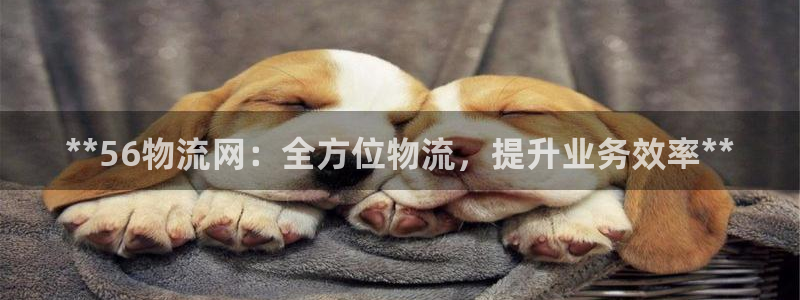 28圈怎么下载不了：**56物流网：