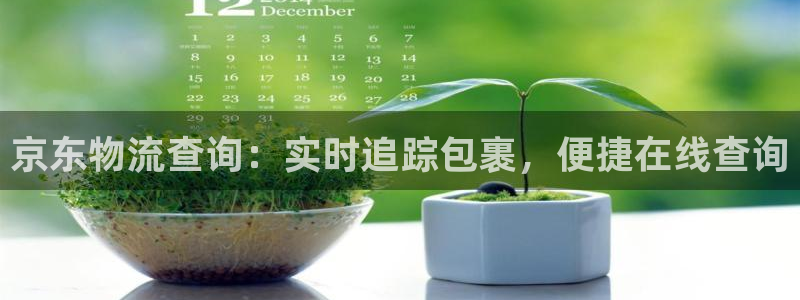 28圈链接多少：京东物流查询：实时追