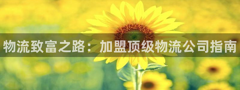 28圈如何看计划