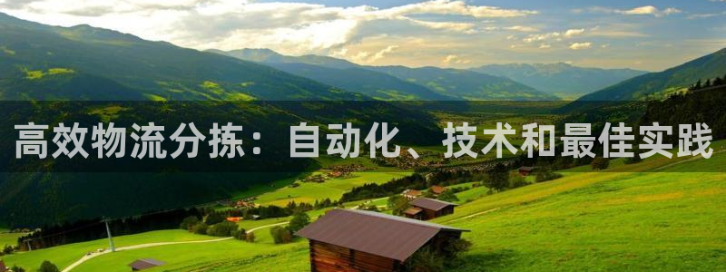 28圈官方网站是多少：高效物流分拣：