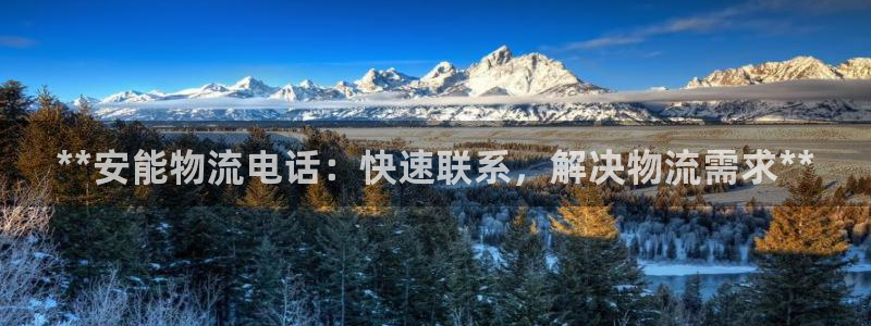 28圈平台注册：**安能物流电话：快