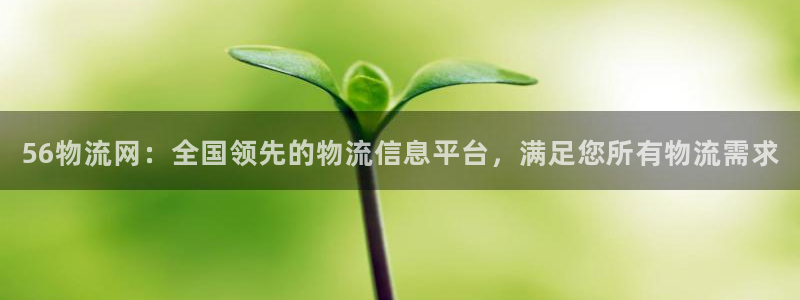 加拿大28圈是什么：56物流网：全国