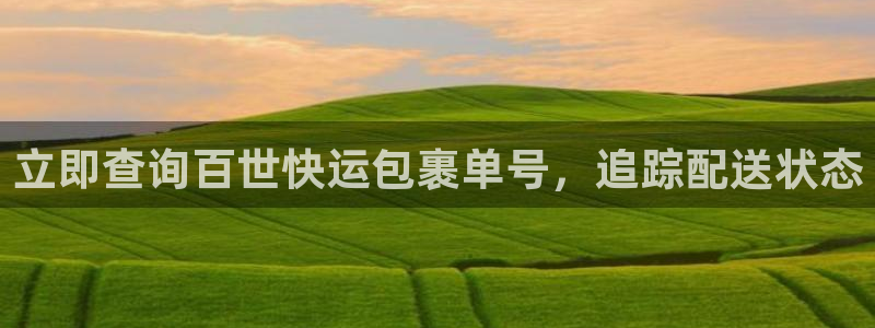 28圈分分28预测：立即查询百世快运