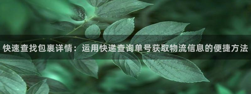 28圈流水怎么算：快速查找包裹详情：