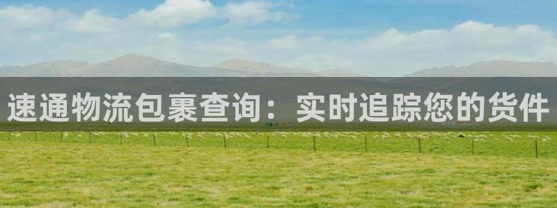 28圈麻将胡了：速通物流包裹查询：实