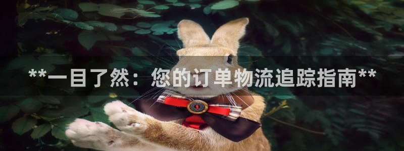 28圈官方官网：**一目了然：您的订