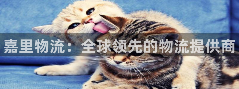 28圈娱乐官网网页下载：嘉里物流：全