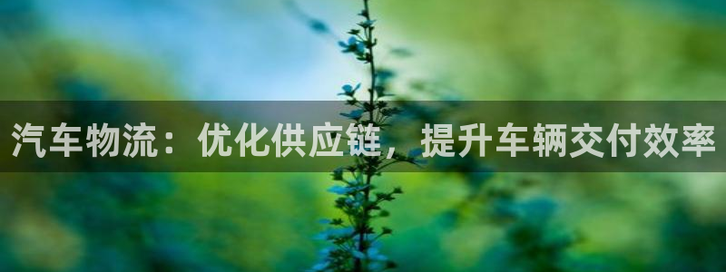 28圈模拟器在线玩：汽车物流：优化供
