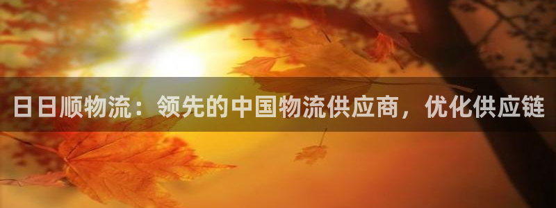 28圈起来的符号：日日顺物流：领先的