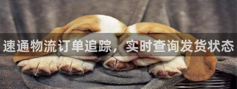 28圈官网多少